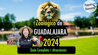 ✅ Zoológico Guadalajara 2024❗️DIAMANTE [upl. by Rudelson]