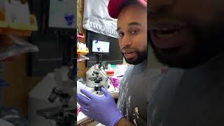 My first microscope cytology to detect breeding timing in my dog 🔬 Instagram Live 81021 [upl. by Comptom]