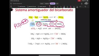 6 pH Renal  Regulación Osmolaridad y pH Renal [upl. by Annawoj]