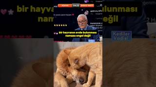 Kedi köpeğin evde olması ibadete engel mi kedilervadisi kedi nihathatipoğlu [upl. by Ahsienahs569]