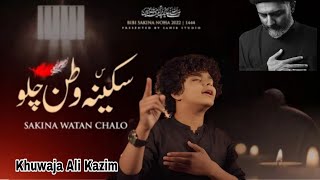 Zindan Khul Gia Hai Sakina Watan Chalo  Noha Khuwan Khuwaja Ali Kazim [upl. by Aciamaj429]