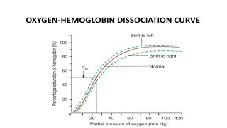 OXYGENHEMOGLOBIN DISSOCIATION CURVE  p50  BOHR EFFECT [upl. by Neelehtak302]