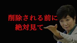 【東京都知事選】※削除覚悟※消される前に見てください [upl. by Joanie]