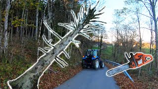 Farmers POV  Clearing Dangerous Hung Trees  New Holland T475 Husqvarna 353 [upl. by Ahsinaw58]