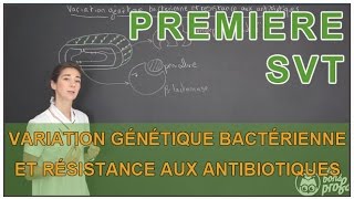 Variation génétique bactérienne et résistance aux antibiotiques  SVT  1ère  Les Bons Profs [upl. by Gnuy]