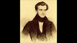 Johann Strauss  Radetzky March Remix [upl. by Ebag]