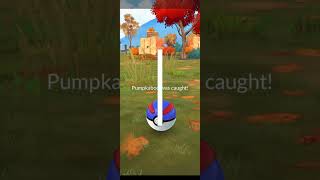 PokemonGo Pumpkaboo pumpkaboo pokemongoindia pokemon googlepixel7a pokemongo [upl. by Dorian820]