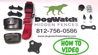 DogWatch What is the status light telling you on the DogWatch receiver [upl. by Chaim]