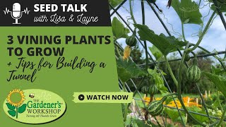 Seed Talk 90  3 Vining Plants to Grow Plus Tips for Building a Tunnel [upl. by Giffer]