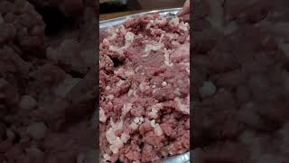 Making Venison Breakfast Sausage [upl. by Kristofer]