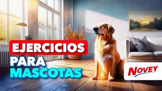 🔥ESTRENO🔥 ¿Cómo puedo AYUDAR a que mi PERRO VIVA MÁS AÑOS LONGEVIDAD EN PERROS 🐶 Novey Tips [upl. by Yeliac]