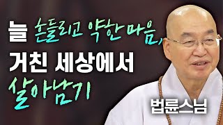 늘 흔들리고 약한 마음 거친 세상에서 살아남기│법륜스님 편🙏 명법문만 모았다 명중명💡 법륜스님 인생 즉문즉설 [upl. by Ecinad]