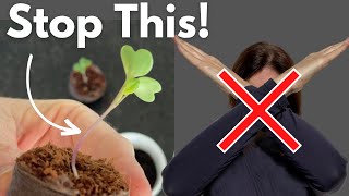 FIX LEGGY SEEDLINGS  Dont Start Over Do THIS Instead [upl. by Vitoria]