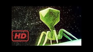 Most Lethal Virus In History  Secrets Of A Deadly Virus Documentary  National TV [upl. by Kciredes]