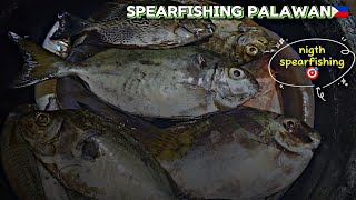 SpearFishing in Palawan🎯 EPS82 [upl. by Thirion]