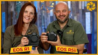 Canon R1 and R5 Mark ii FIRST LOOK amp KEY FEATURES for Wildlife Photography [upl. by Dorahs893]