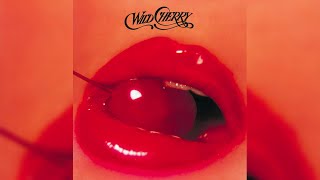 Wild Cherry  Play That Funky Music [upl. by Reuben]