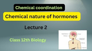 Chemical nature of hormones chemical coordination lecture 2 [upl. by Notrem]