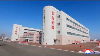 Process of Serial Production of Medicines Updated at the Hungnam Pharmaceutical Factory Korean [upl. by Trembly556]