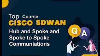 Cisco SDWAN Hub and Spoke and Spoke and Spoke Communications [upl. by Winstonn]