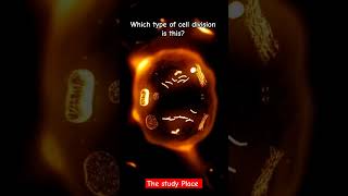 Which type of cell division is this shorts viral science [upl. by Lucian167]