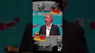 Zu viel Bürokratie deutschland news nachrichten politik new shorts afd weidel alice cdu [upl. by Sy739]