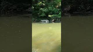 🎣🎣 Creek Fishing During a Quarry Explosion [upl. by Anura]