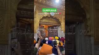 Gate opening Harmandir Sahib Amritsar Golden Temple Rare AmritVela Gurpurab 15 Nov24 [upl. by Natalina]