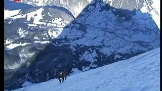 Ueli Steck Neuer Speed Rekord am Eiger [upl. by Elleiram626]