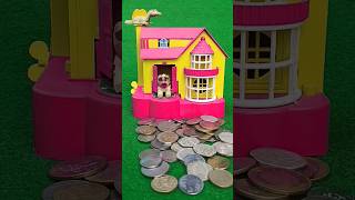 Dog poppy condition House amp the kitchen box piggy bank AC612 viralshort shortvideoshorts [upl. by Nahtnoj]