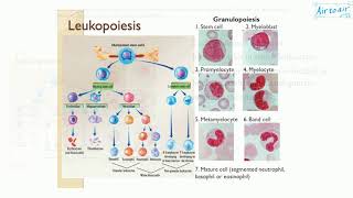 Krok 1 Medicine  Year 2018  091 Ministry of Public Health of Ukraine [upl. by Nogas]