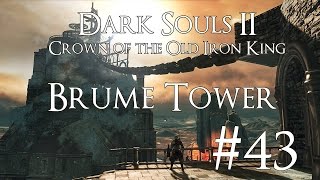 Dark Souls 2 DLC II CotOIK PC 100 Walkthrough 43  Brume Tower  Boss Fume Knight [upl. by Adnilim]