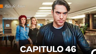 Alas de Amor Capitulo 46 Doblado En Español [upl. by Greenebaum]