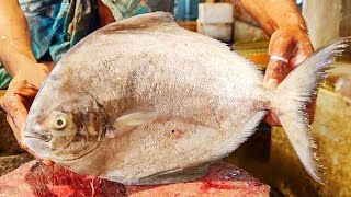 Pomfret Fish Cutting Skills by Expert Fish Cutter  Amazing Fish Cutting Skills [upl. by Aleece]