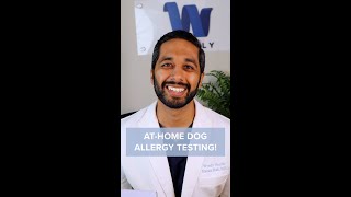 How to Do Dog Allergy Testing at Home [upl. by Tnecnivleahcim206]