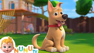 My Dog Song  Bingo  Toddler Songs amp Nursery Rhymes  NuNu Tv Kids Songs [upl. by Kuehnel]