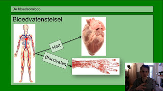 Basisstof 2 De bloedsomloop [upl. by Levona333]