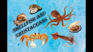 Shellfish and Crustaceans in English [upl. by Anitniuq290]