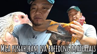 Uso din ba sa inyong lugar ang hiraman ng mga breeding materials [upl. by Suzie]