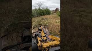 Ryobi Australia 36v Brushcutter attachment making light work of thick woody weeds lawns tools ryobiau home garden diy [upl. by Calloway]