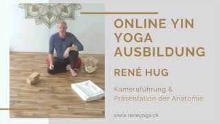 Einblick in die Yin Yoga Online Ausbildung [upl. by Eedrahc424]