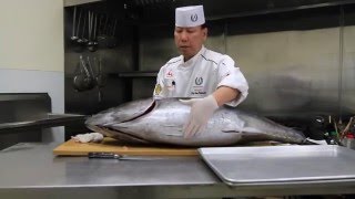 Bluefin Tuna Cutting  Inspection amp First Cut Part 1 of 6 © Prime Time Seafood [upl. by Jacky]