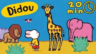 Didou dessinemoi les animaux dAfrique  Compilation  Dessins animés pour les enfants [upl. by Barlow]