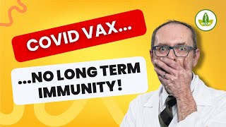 The TRUTH About Covid Vaccine Immunity IMPORTANT [upl. by Winsor]