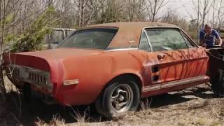 Longlost Shelby prototype Little Red found in Texas field [upl. by Shandra]