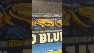 VLOG DINAMO vs BVB 🔥 dinamo bvb zagreb ligaprvaka [upl. by Trever]