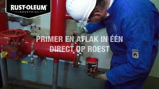 Maak Kennis Met RUSTOLEUM CombiColor Metaalverf [upl. by Nnaeirb]