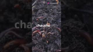 Soil Formation मृदा निर्माण मिट्टी का निर्माण [upl. by Attennot487]