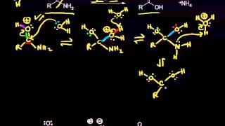 Acid and basecatalyzed hydrolysis of amides  Organic chemistry  Khan Academy [upl. by Eissehc]