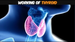 Thyroid gland do you really understand it [upl. by Seena]